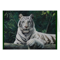 tigre blanco cards