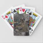 Tigs playing cards
