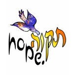 Tikvah Hope Shirts