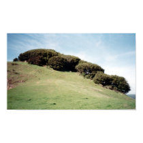 Tilden Park, Berkeley, CA posters