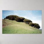 Tilden Park, Berkeley, CA posters