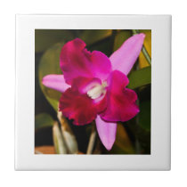 Tile, Purple Orchid tiles