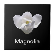 Tile, Single White Magnolia Blossom tiles