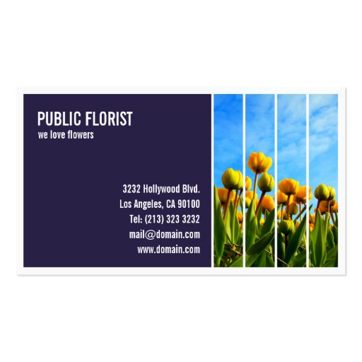 Tiled Photograph Business Card (front side)