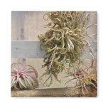 Tillandsia Refrigerator Magnet