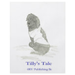 Tilly in sweater, 4RV Publishing llc flyers