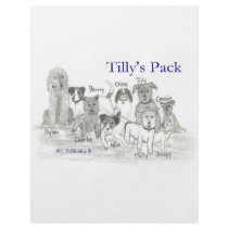 Tilly's Pack Flyers