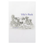Tilly's Pack Custom Stationery