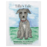 Tilly's Tale flyers