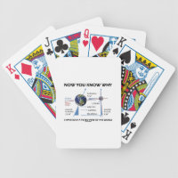 Tilted View Of The World (Orbital Variation) Bicycle Playing Cards