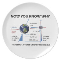 Tilted View Of The World (Orbital Variation) Party Plates