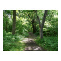 Timber Creek Nature Center posters by Shadowchaser Timber Creek Nature Center posters