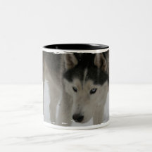 "Timber" Siberian Husky Mug