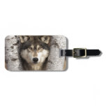 Timber wolf by Jim Zuckerman Luggage Tag