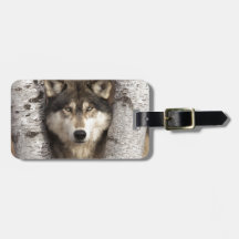 Timber wolf by Jim Zuckerman Luggage Tag
