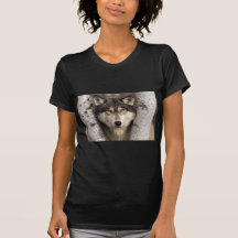 Timber wolf by Jim Zuckerman T Shirt