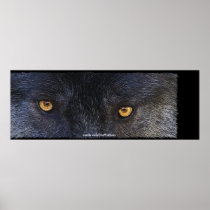 Timber Wolf Eyes Wildlife Photo Art Poster