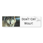 Timber-Wolf from JungleWalk.com Bumper Stickers
