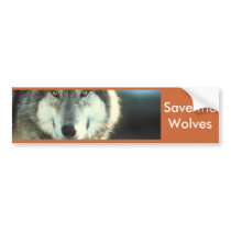 Timber Wolf from Junglewalk.com bumper stickers