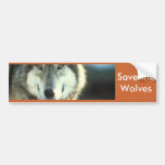 Timber Wolf from Junglewalk.com Bumper Stickers