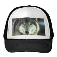Timber-Wolf from JungleWalk.com Trucker Hat