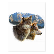 timber wolf.jpg post card