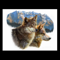 timber wolf.jpg postcards