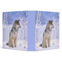 Timber Wolf sitting in the Snow, Canis lupus, Vinyl Binder