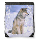 Timber Wolf sitting in the Snow, Canis lupus, Drawstring Bags
