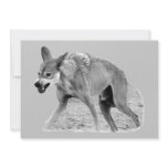 Timber Wolf Snarl Personalized Invitation