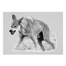 Timber Wolf Snarl Personalized Invitation