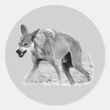 Timber Wolf Snarl Round Sticker