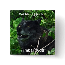 Timber Wolf Wildlife Photo pin