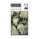 "Timber Wolves" postage by paintonmypaws "Timber Wolves" postage