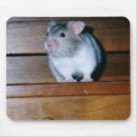 Timbit the Hamster Mousepad