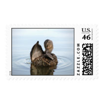 Time for a Bath stamps