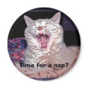 Time for a nap? magnets