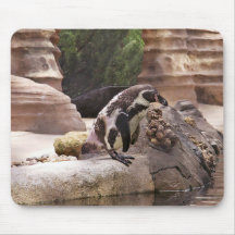 Time for a swim mouse mats