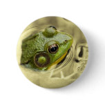 time for frog pin