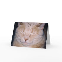 "Time for my close-up!" cards by HLBeach "Time for my close-up!" cards