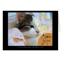 Time Heals Life Lessons From a Cat Card