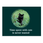 Time Spent With A Curious Black Cat Postcard