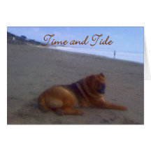 Time & Tide Cards