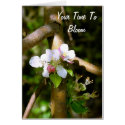 Time To Bloom  - Apple Blossoms cards