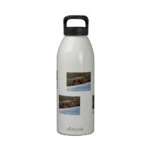 Time to Move On Reusable Water Bottle