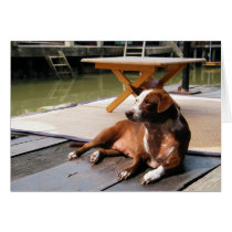 Time To Relax At Amphawa cards
