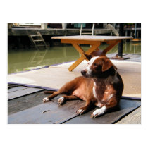 Time To Relax At Amphawa postcards