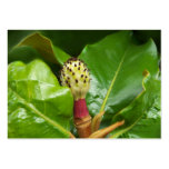Time to Rest ACEO Art Trading Cards Business Cards