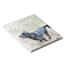 Time To Walk The Dog Note Pads