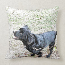 Time To Walk The Dog Throw Pillows
